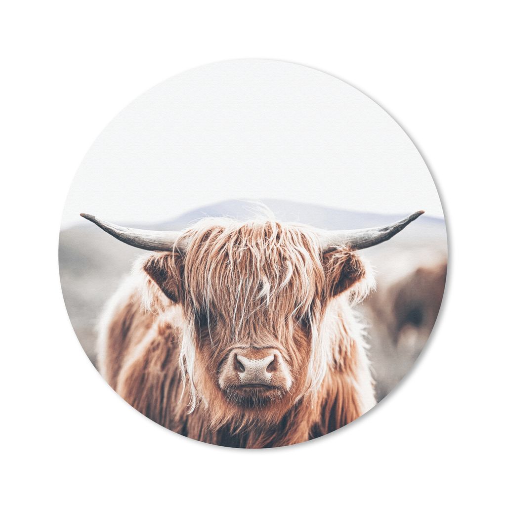 MuchoWow Mauspad Mousepad Schottischer Highlander - Berg - Hoorn 20x20 cm - Mousepads - Maus Mat - Pad - Mausunterlage - Schreibtischmatte