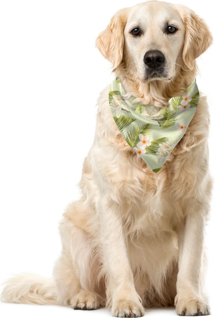 ABAKUHAUS Blätter Haustier Bandana, Frangipani Palm Leaf Grafik, 40x40 cm, Pastellgrün Multicolor