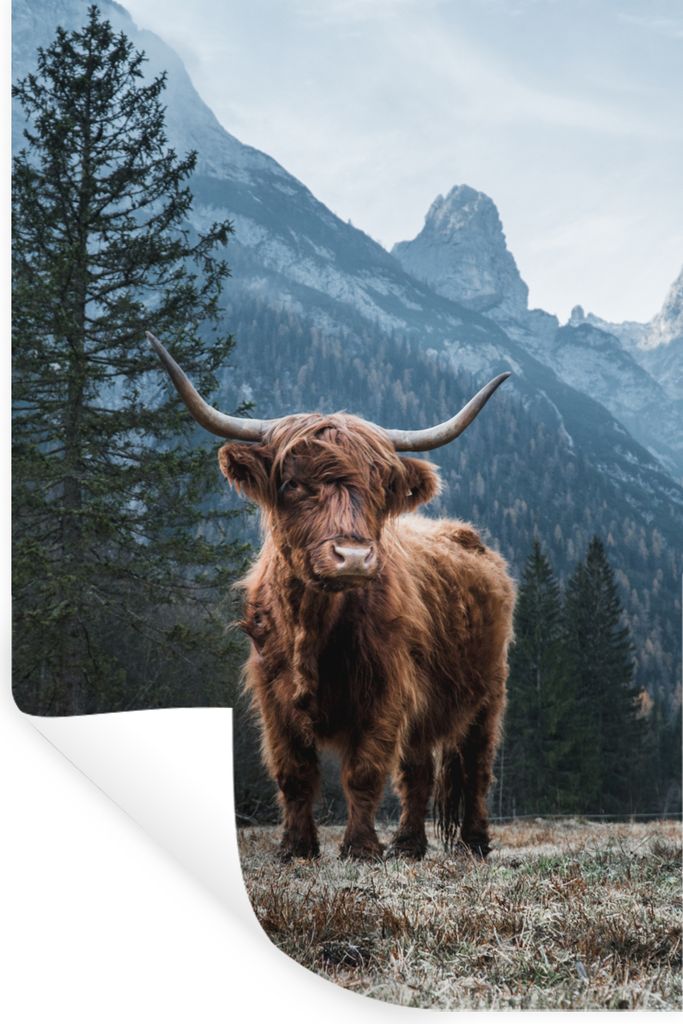 MuchoWow Wandtattoo Wandsticker Wandaufkleber Schottische Highlander - Berg - Landschaft - Bäume - Kuh - Natur 40x60 cm Selbstklebend und Reposi...