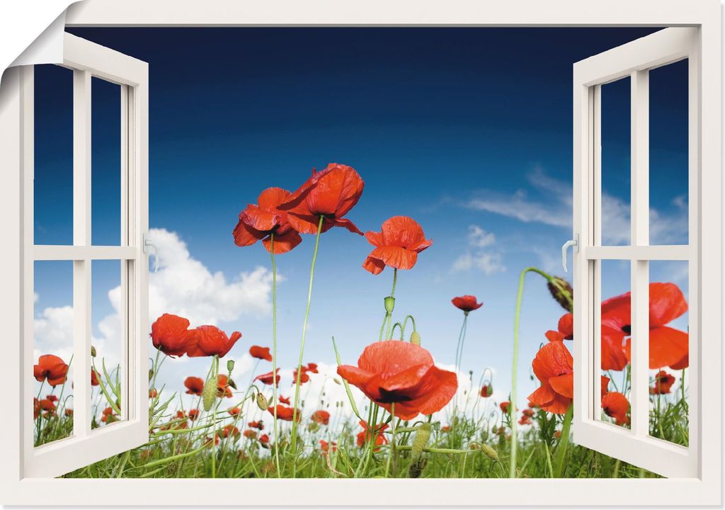 ARTland Poster Fensterblick Feld mit Mohnblumen, weiß Größe: 70x50 cm