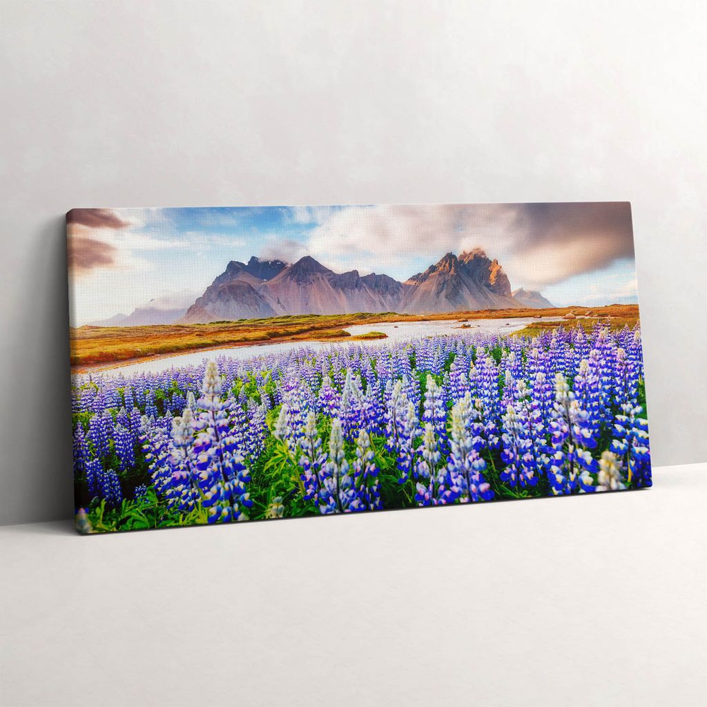 Magische Lupinenblüten – Leinwandbild Wandbild – 140x70 cm – Leinwandbilder – Wandbilder – Schlafzimmer – Flur