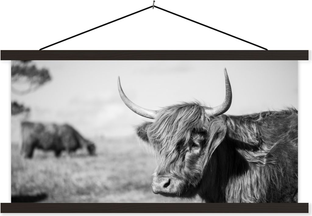 MuchoWow Textilposter Schottisches Hochlandrind - Tiere - Schwarz - Weiß 120x60 cm mit schwarzem Rahmen - Dekoration Schlafzimmer
