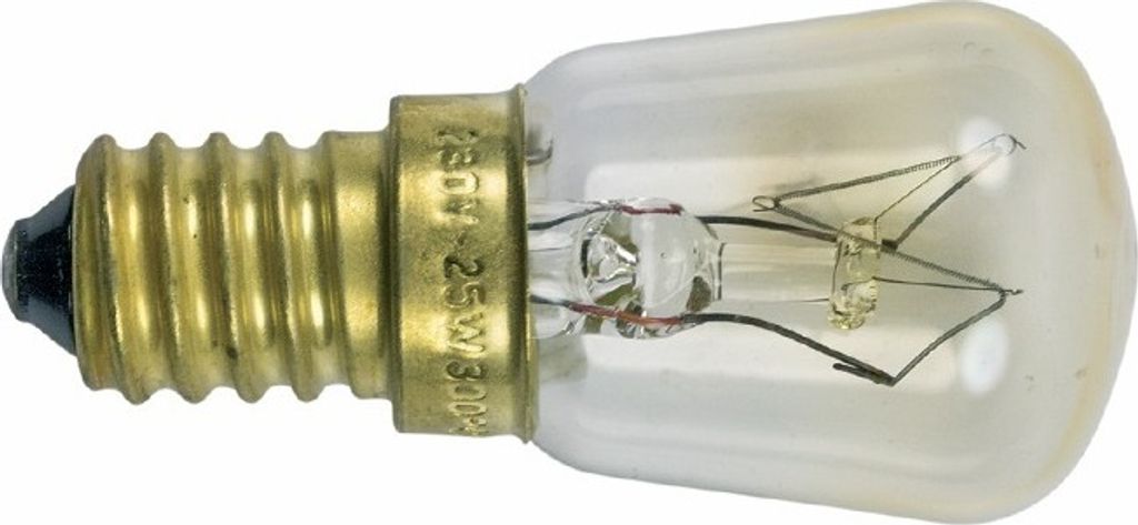 A close-up studio shot of a small incandescent light bulb with a screw base.
