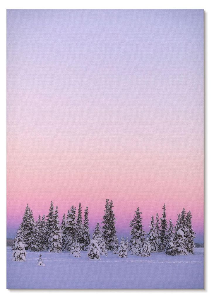 POSTER - 42x59 cm (A2) - digitalPhoto - Winterbäume, stimmungsvoller Pastellhimmel, Frieden - Wandbild für Wohnzimmer Schlafzimmer & Flur, Modern...