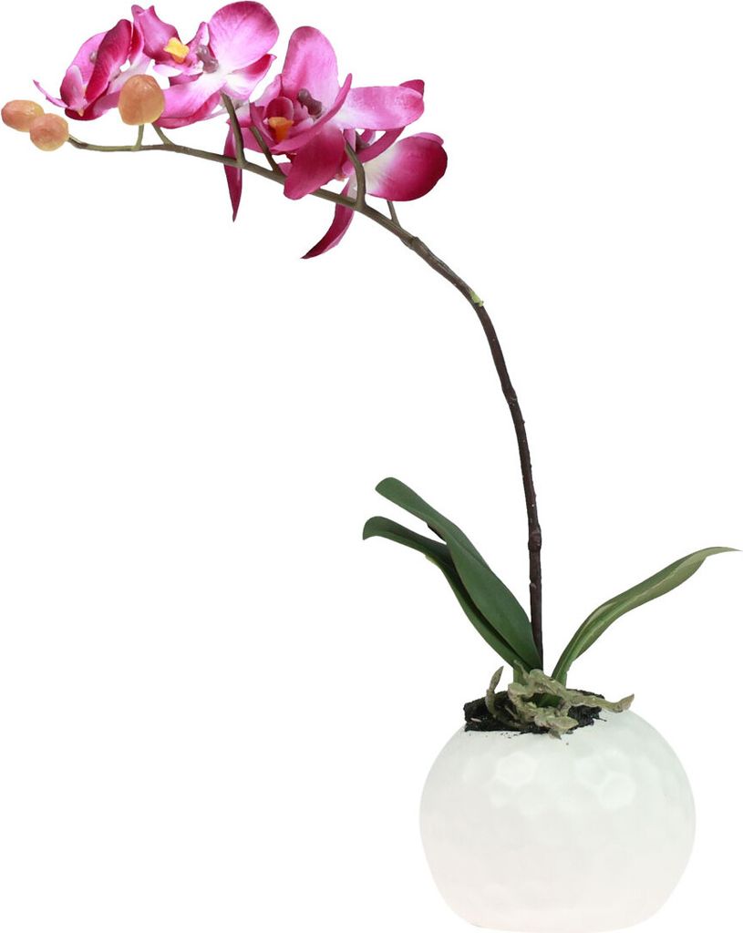 Künstliche Phalaenopsis Orchidee im Topf, Deko-Kunstblume Pink, 34cm, Tischdeko, pflegeleicht
