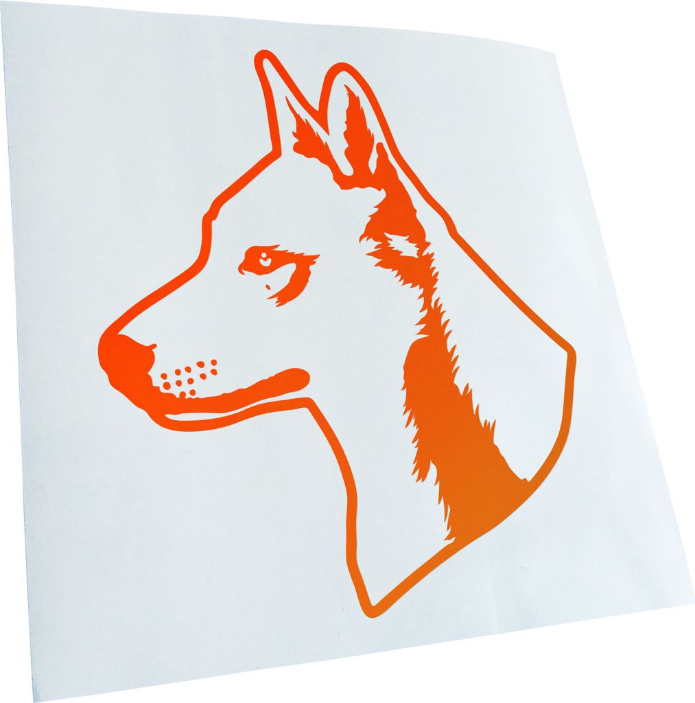 Kiwistar - Autoaufkleber - Canaan Dog Hund - Neonorange - 50x42cm - Aufkleber für Auto, Laptop, Fahrrad, LKW, Motorrad mehrfarbig JDM Decal Racing