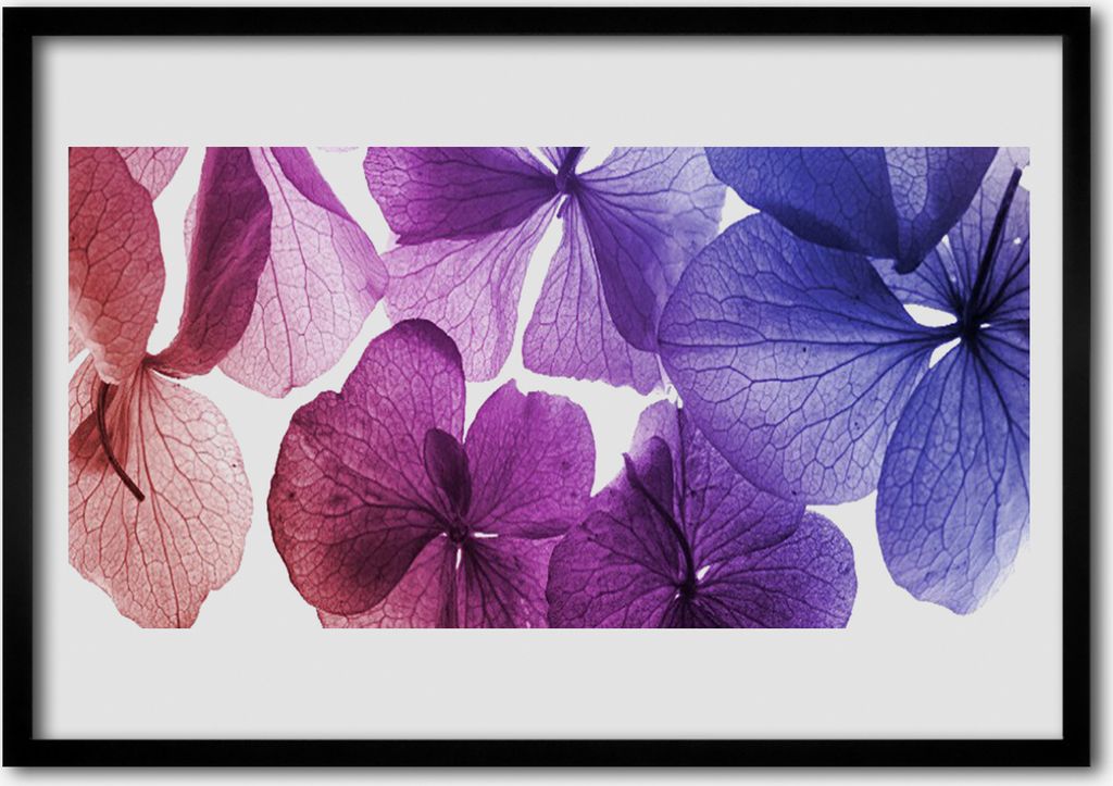 Bild 70x50 MDF-Rahmen Wandkunst Blumen Pflanzen Natur