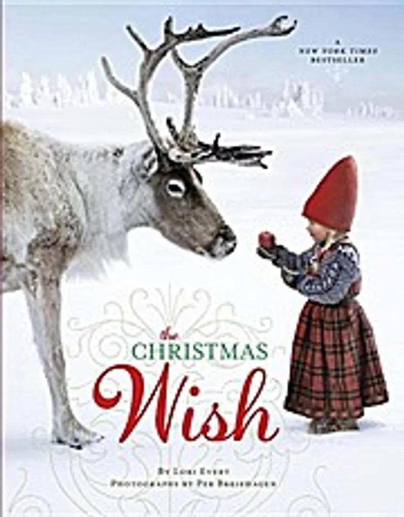 The Christmas Wish livre avec photos réelles et paysages polaires magiques