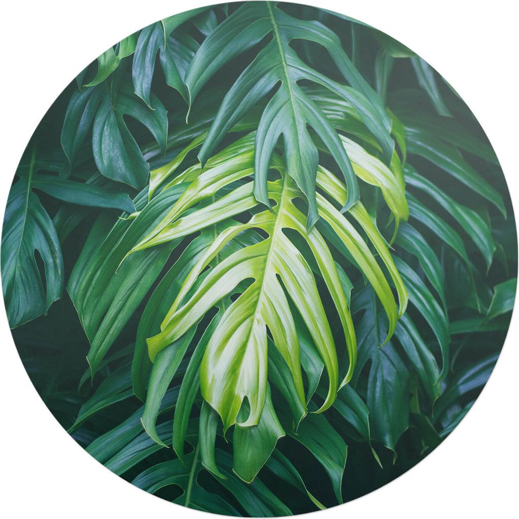 Tropische Blätter – Bodenschutzmatte – Stuhlunterlage – Bürostuhlmatte – Rutschfeste Bodenmatte – Schutzmatte für Hartboden – fi 100 cm