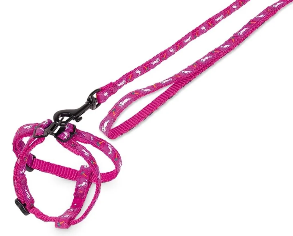 Set Guinzaglio e Pettorina Coniglio Nobby | Nylon Viola Carota