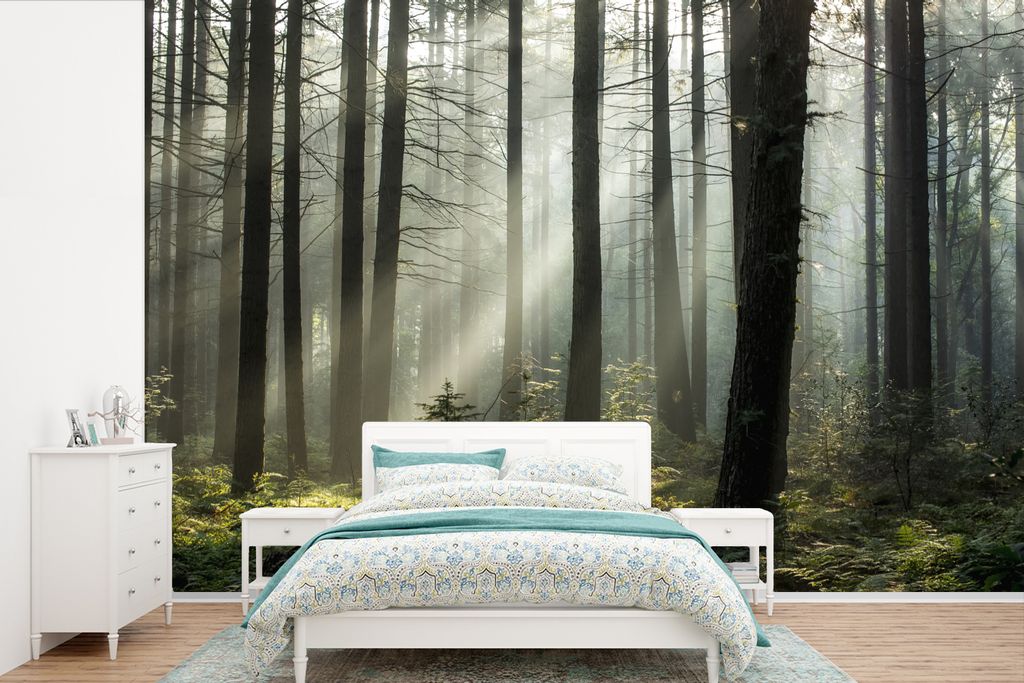 MuchoWow Fototapete für Wohnzimmer oder Schlafzimmer Wandtapete Vinyl Motivtapete Wald - Pflanzen - Nebel - 600x400 cm - Vinyltapeten