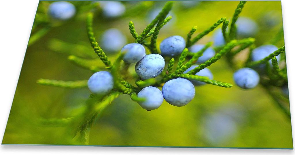 Herdabdeckplatte Glaskeramik 1 Teilig 80x52 Natur Grün Abdeckung Glas Spritzschutz