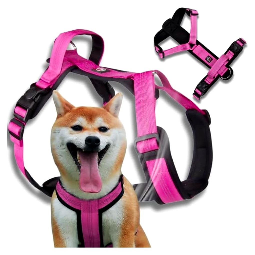 Hundegeschirr Typ Guard Capri M Rosa – Verstellbares Geschirr für große Hunde – Reflektierend, Atmungsaktiv & Bequem mit Neopren-Polsterung u...