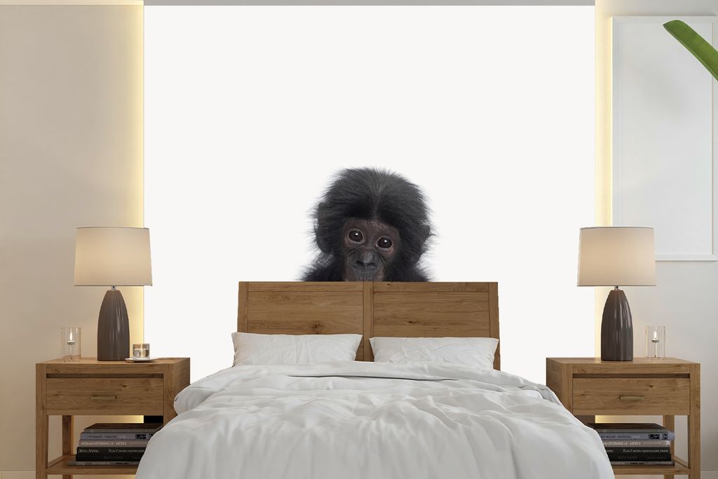 MuchoWow Fototapete für Wohnzimmer oder Schlafzimmer Wandtapete Vinyl Motivtapete Kind - Affe - Schimpanse - Babytiere - Jungen - Mädchen - 260...