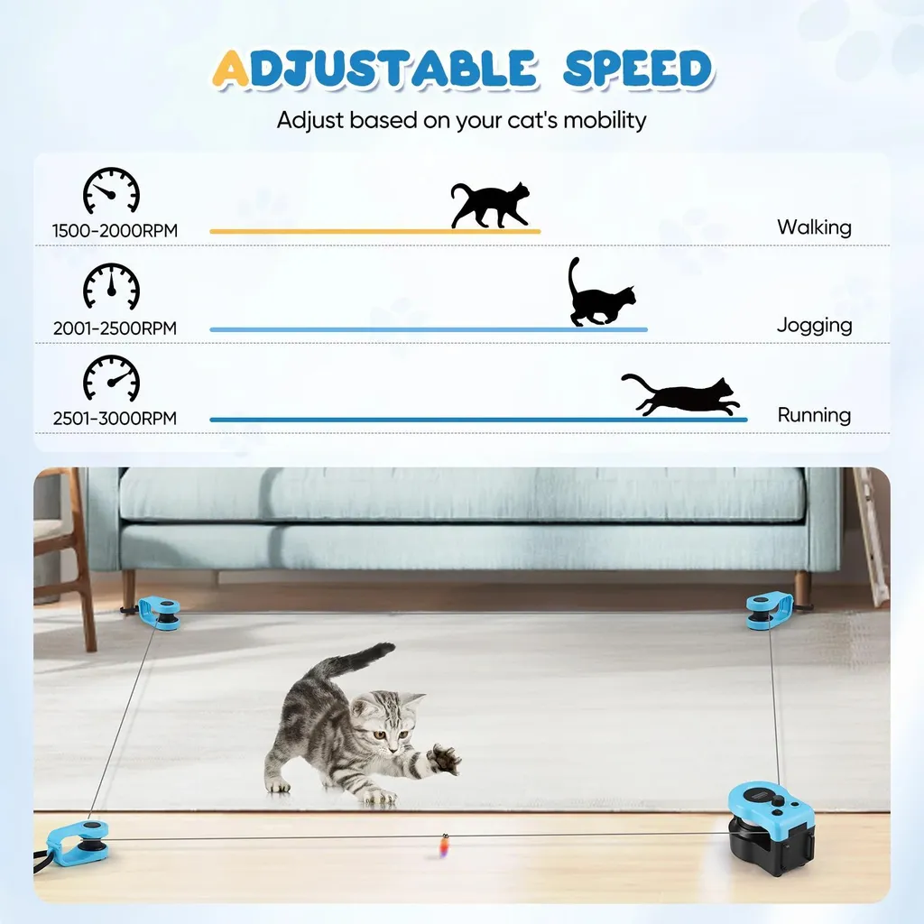 Tapis de marche pour chat d'appartement - Activité physique auto