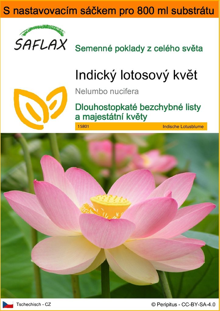 SAFLAX Garden in the bag - Indický lotosový květ - Nelumbo Obrázek produktu 