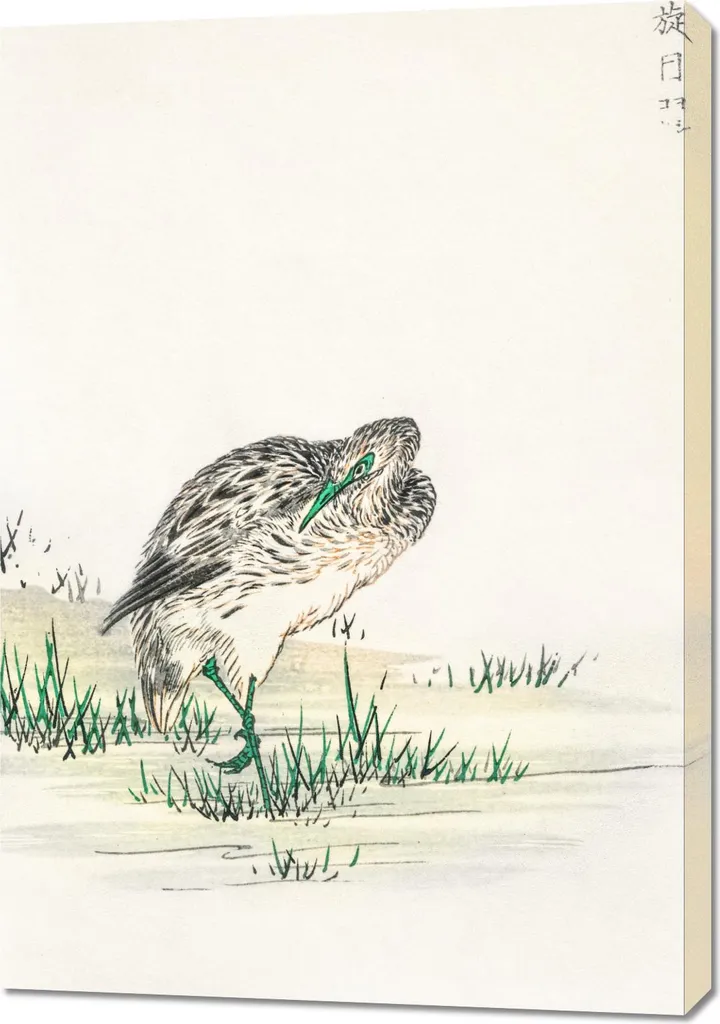 Quadro Giapponese Antico Little Bittern | Kashu 70x100 da Parete