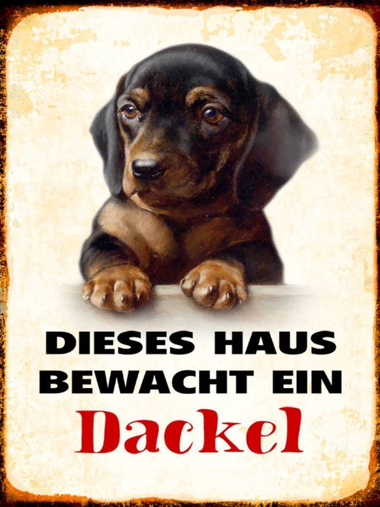 vianmo Holzschild 40x30 cm Hund dieses Haus bewacht ein Dackel