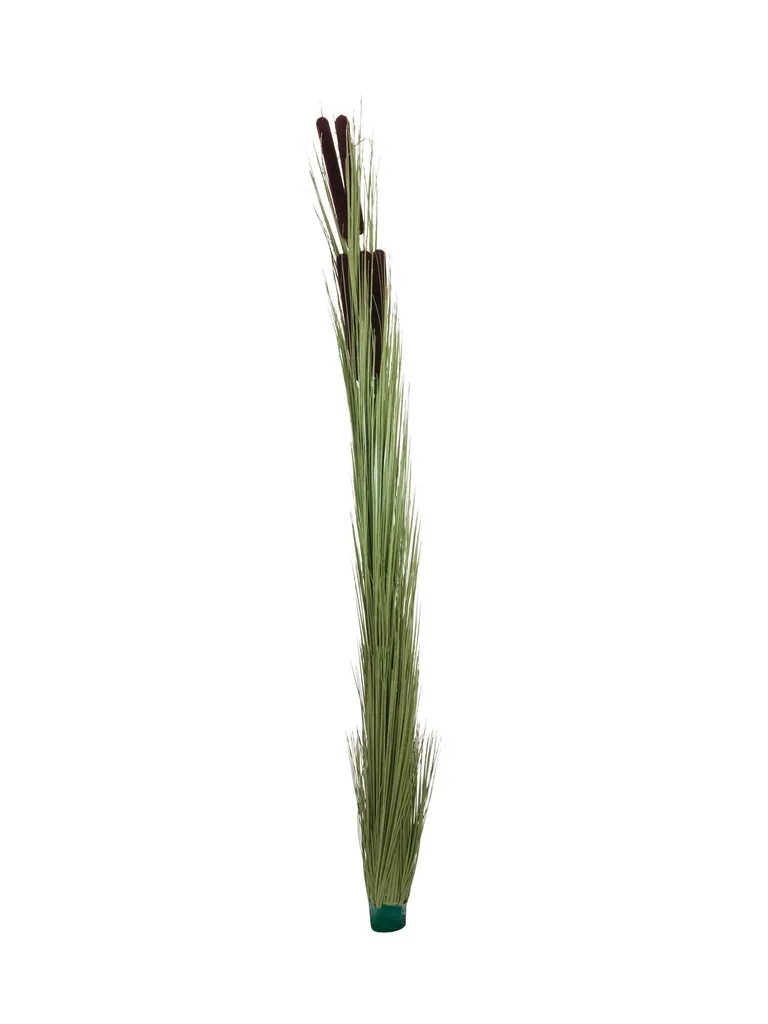 EUROPALMS Erba di canne con pannocchie, artificiale, verde chiaro, 152 cm (82505855)