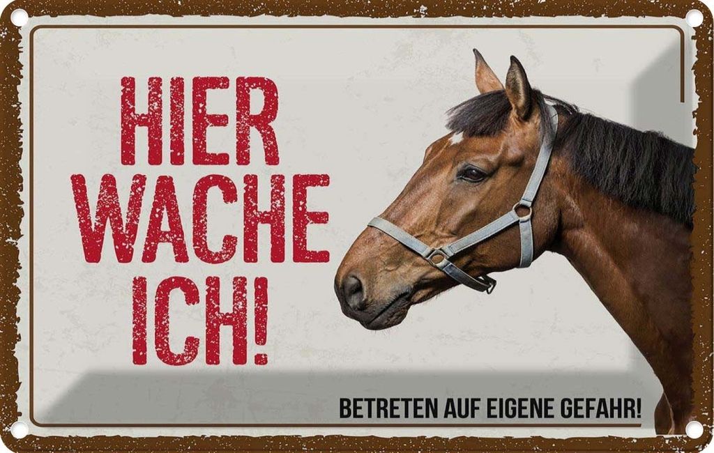 vianmo Blechschild 12x18 cm Pferd hier wache ich eigene Gefahr