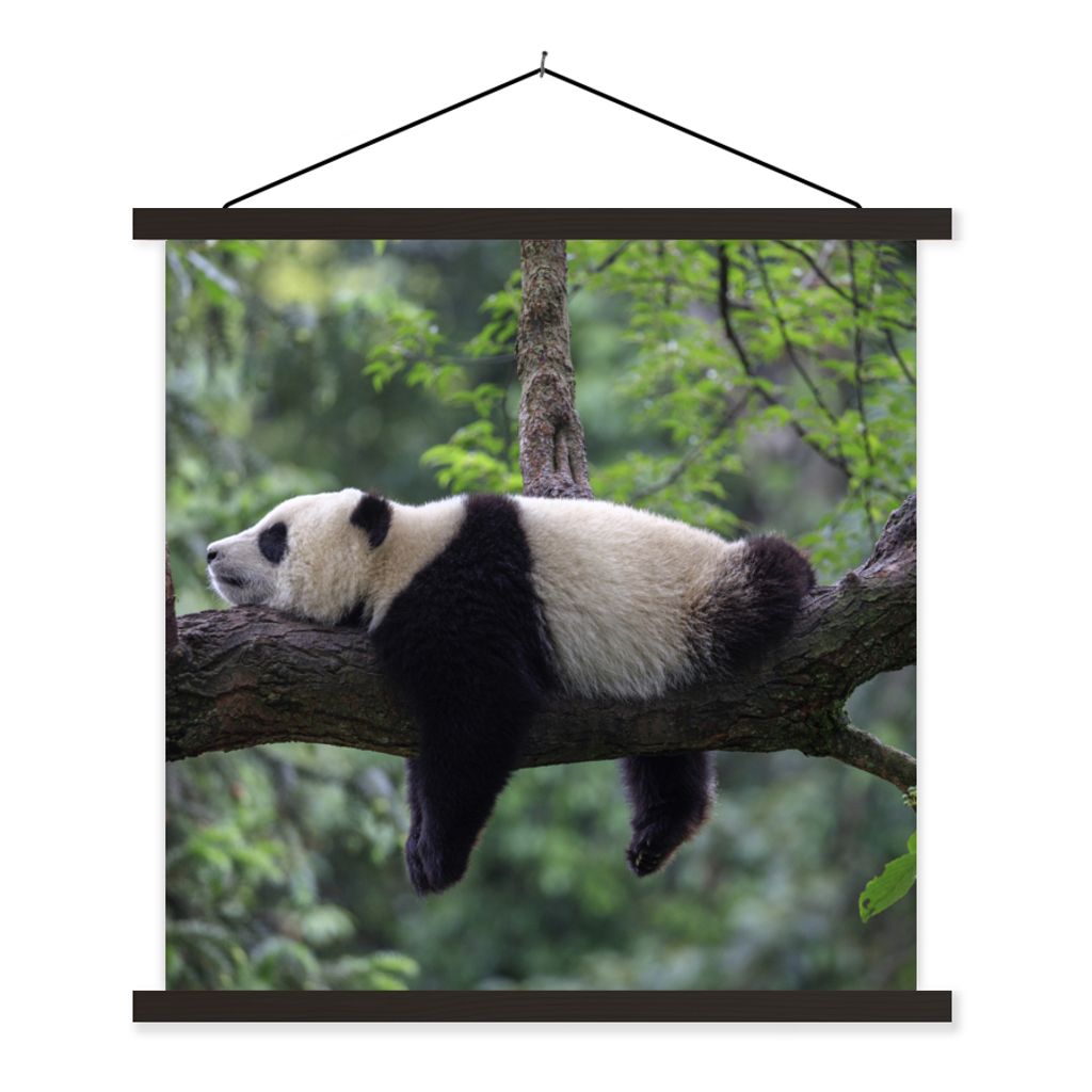 MuchoWow Textilposter Panda - Baum - Tiere - Natur 40x40 cm mit schwarzem Rahmen - Fotos