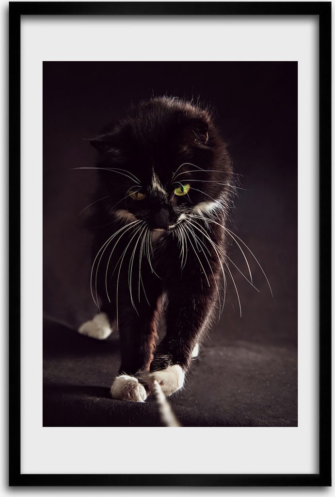 Bild - Bilderrahmen - 40 cm x 60 cm - MDF - Rahmen - Wandkunst - Schwarze Katze