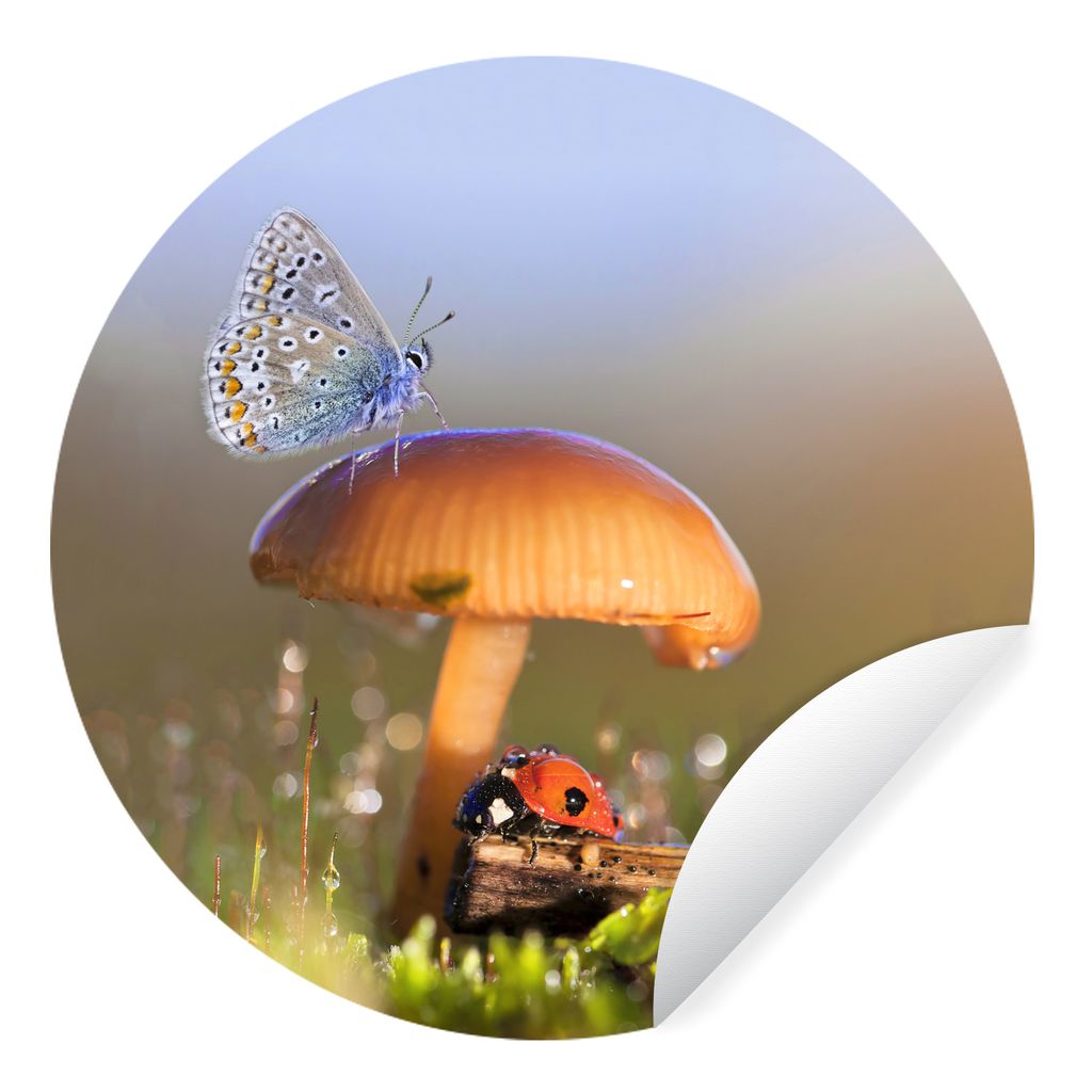 MuchoWow Runde Wandtattoo - Wandsticker Tapete Aufkleber Schmetterling - Marienkäfer - Pilz Ø 30 cm Selbstklebend und Repositionierbar - Wandau...