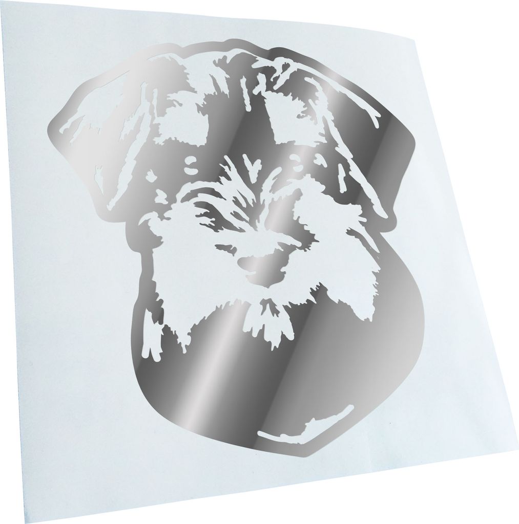 Kiwistar - Autoaufkleber - miniature Schnauzer Hund - Chrom - 60x55cm - Aufkleber für Auto, Laptop, Fahrrad, LKW, Motorrad mehrfarbig JDM Decal Ra...
