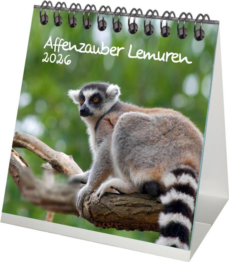 Affenzauber Lemuren Tischkalender 10cm x 10cm für 2026 Affen - Geschenkset Inhalt: 1x Kalender 1x Weihnachtsanhänger 1x Grußanhänger (gesamt 3 ...