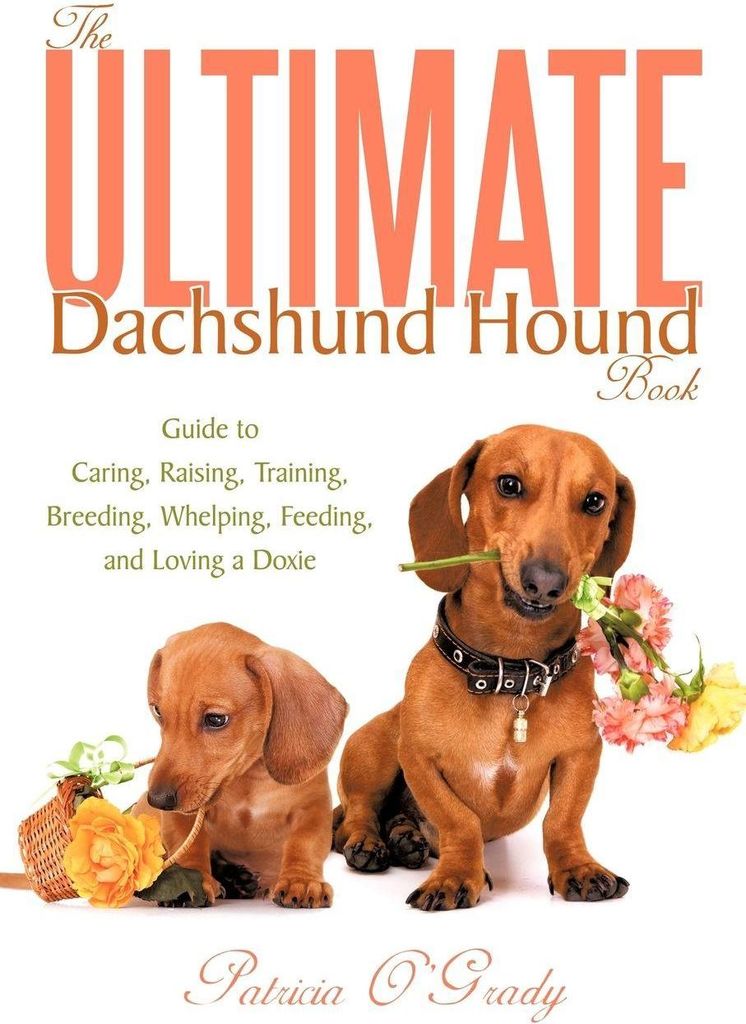 The Ultimate Dachshund Hound Book