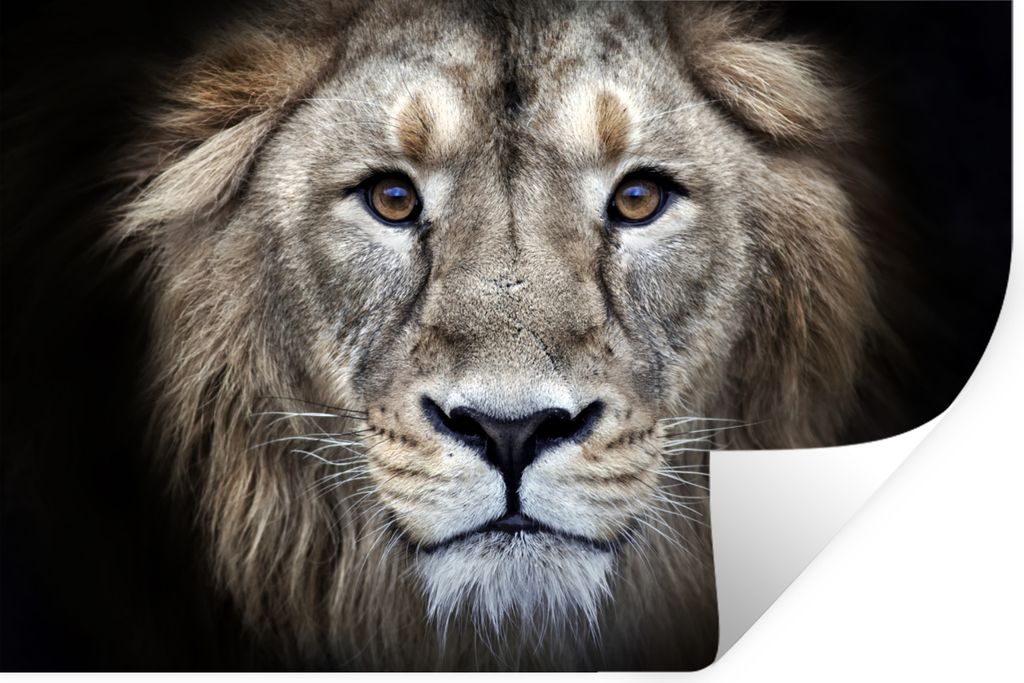 MuchoWow - Wierderverwendbar - Selbstklebend