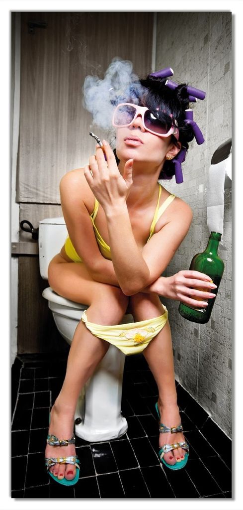 Wallario selbstklebende Türtapete 93 x 205 cm mit Schutzlaminat - Kloparty - Sexy Frau auf Toilette Zigarette & Schnapsflasche - farbig