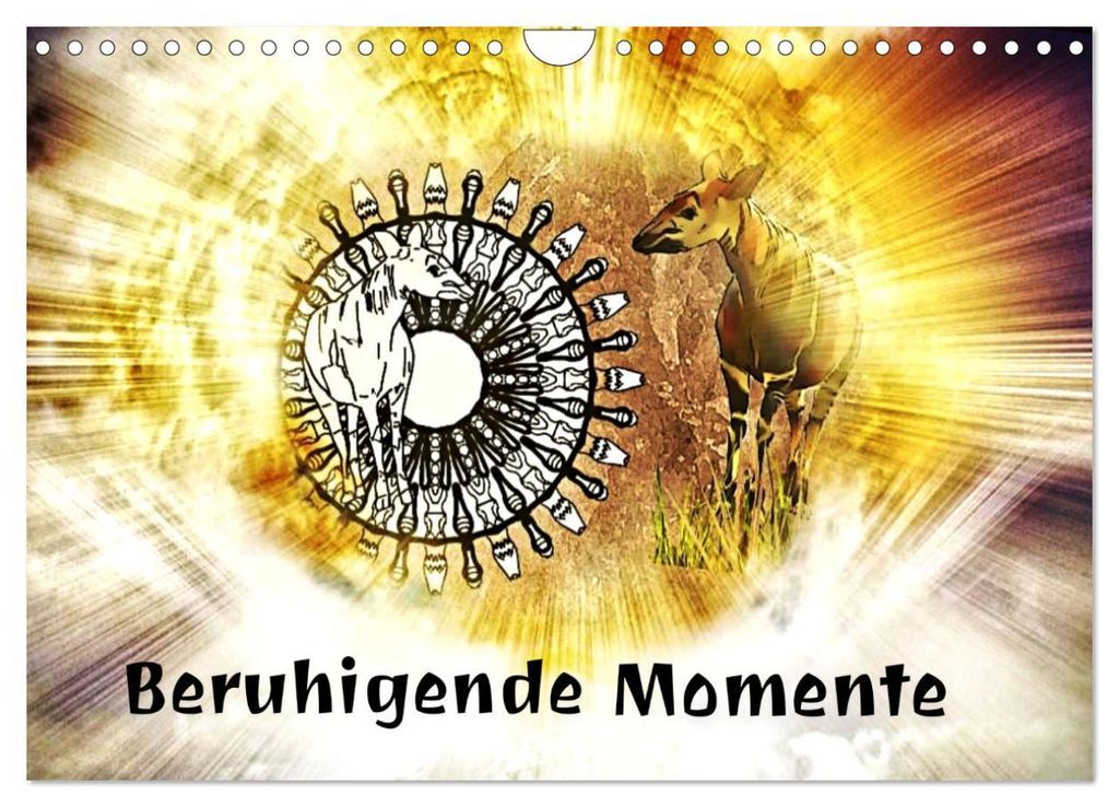 Mandalas 2027 - Beruhigende Momente (Wandkalender 2027 DIN A4 quer), CALVENDO Monatskalender