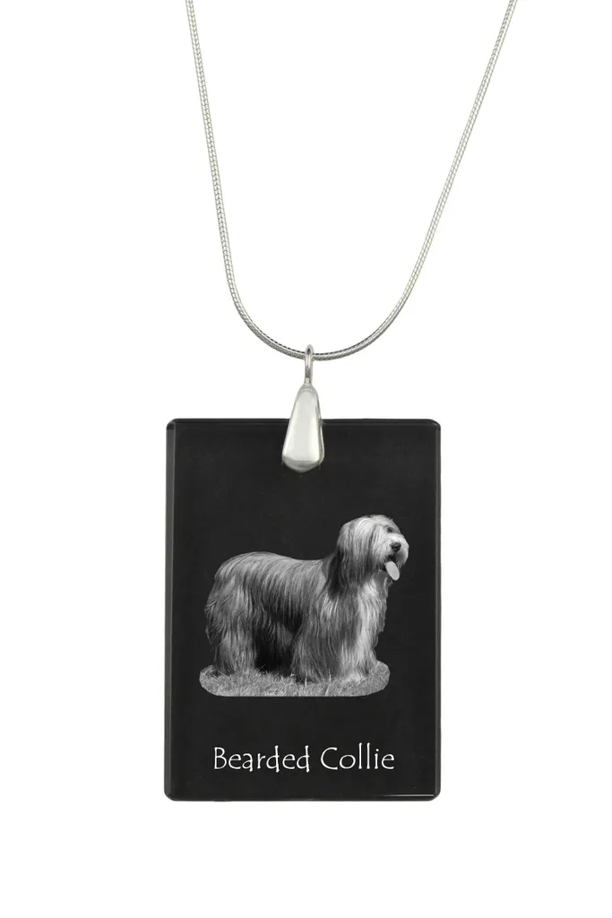 Ciondolo Bearded Collie Art-Dog | Collana Argento con Foto Cristallo