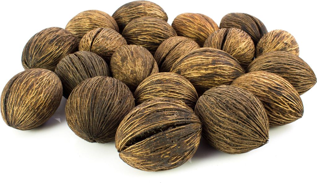 INNA-Glas Nuss vom Zerberusbaum Mintola KARABO, braun, 20 Produktbild 