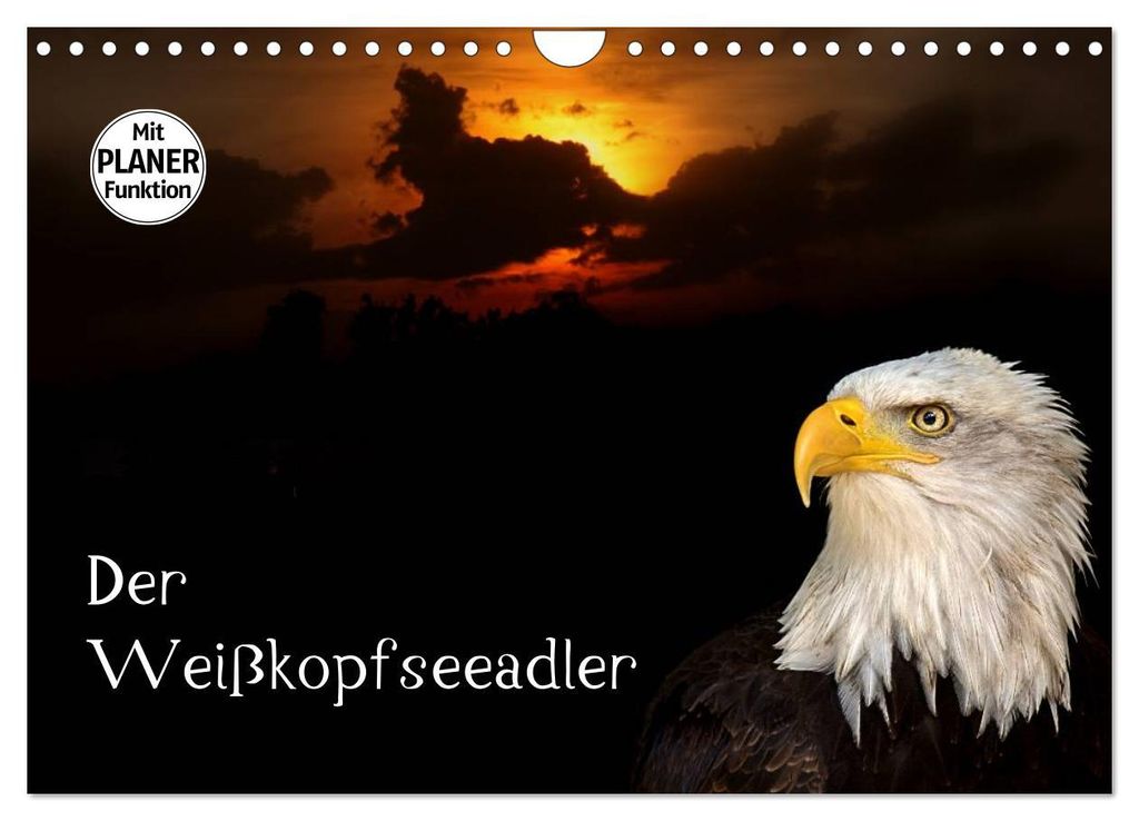 Der Weißkopfseeadler (Wandkalender 2027 DIN A4 quer), CALVENDO Monatskalender