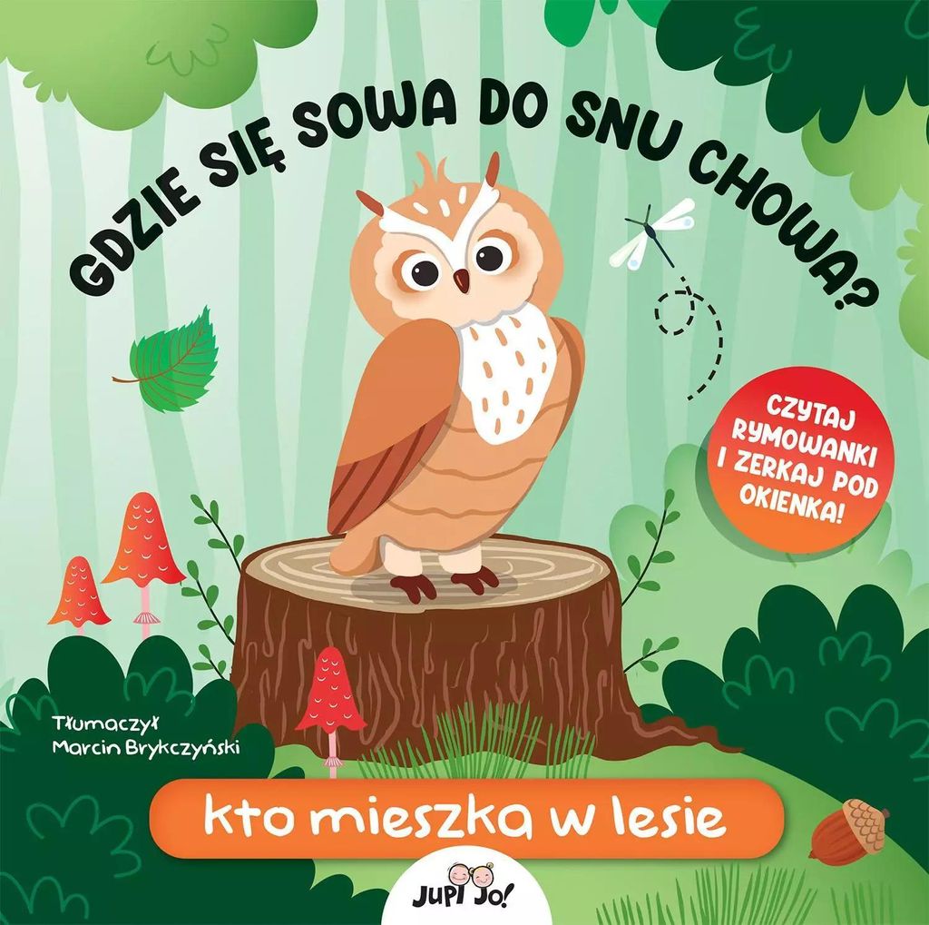 Gdzie się sowa do snu chowa? Kto mieszka w lesie (Buch auf Polnisch)