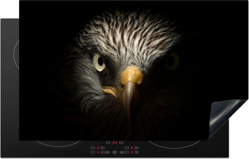 KitchenYeah Herdabdeckplatte Vogel - Adler - Raubvögel - Auge - Schnabel - Licht , 85x52cm, Küche Deko, Glaskeramikfeld Herdabdeckung, Abdeckpl...