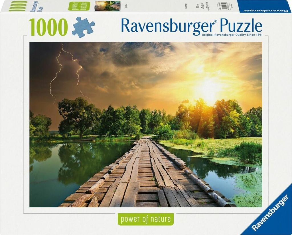 Ravensburger Puzzle Power Of Nature Mystisches Licht 1000 Teile