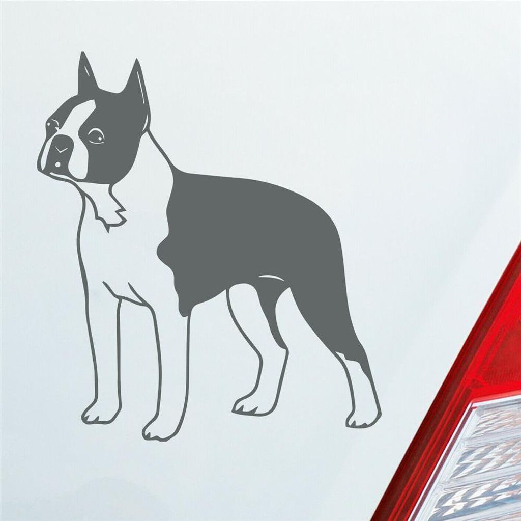 Auto Aufkleber Boston Terrier Hund Dog Animal 12x10 cm Grau Produktbild 