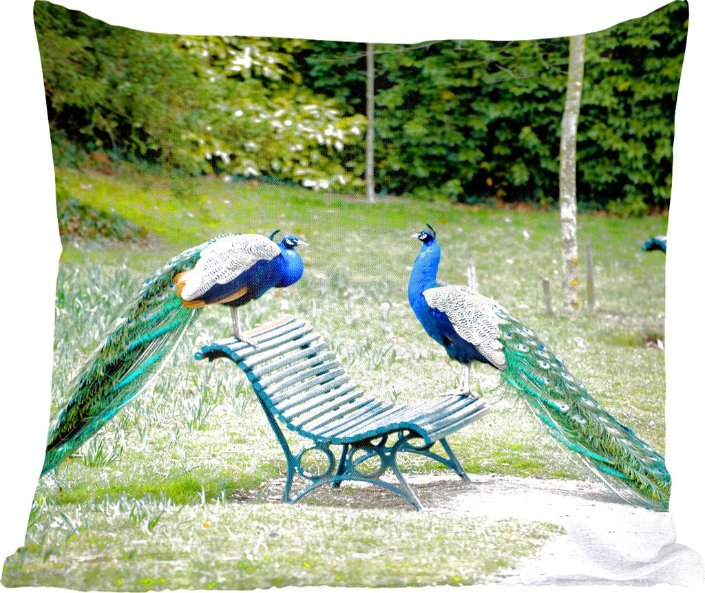 MuchoWow Zierkissen Sofakissen Wohnzimmer Dekokissen 50x50 cm Pfau - Bank - Park - Komfort - Sofakissen