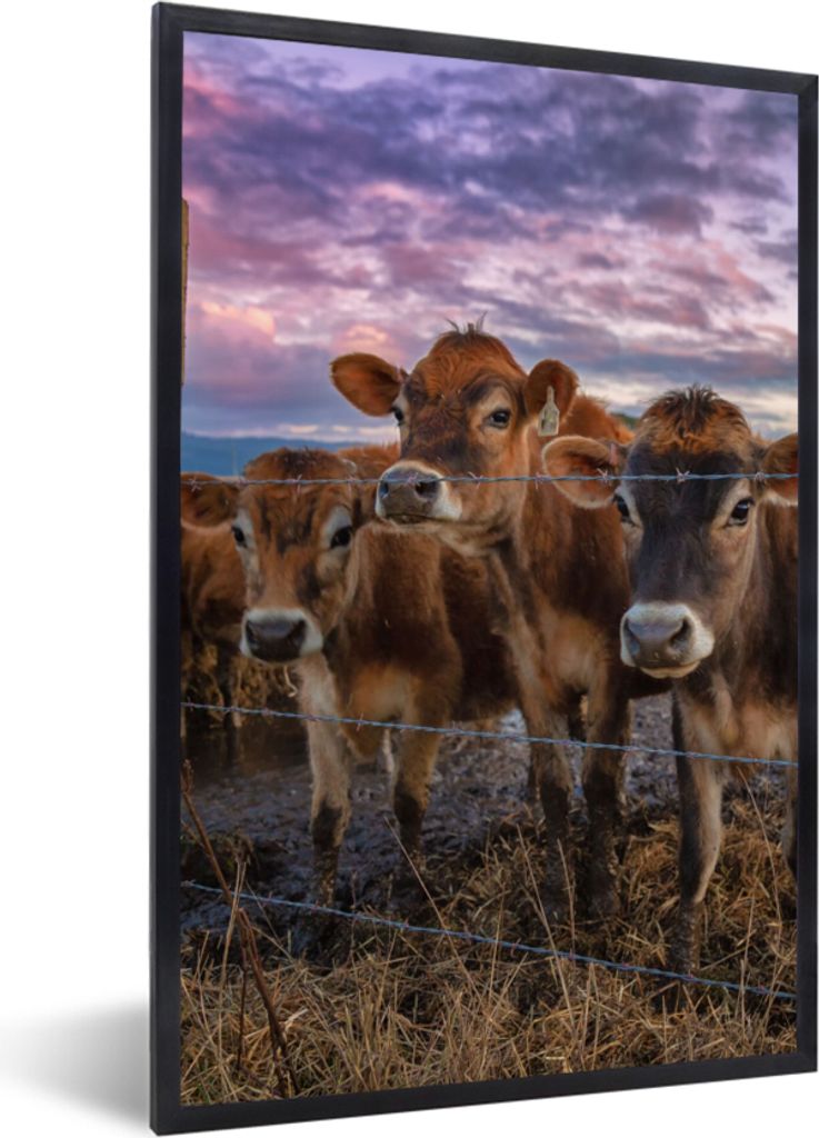 MuchoWow Gerahmtes Poster Kuh - Tiere - Kühe 20x30 cm - Poster mit Schwarzem Bilderrahmen Wandposter Rahmen Foto Bilder - Drucken - Bilder Poste...