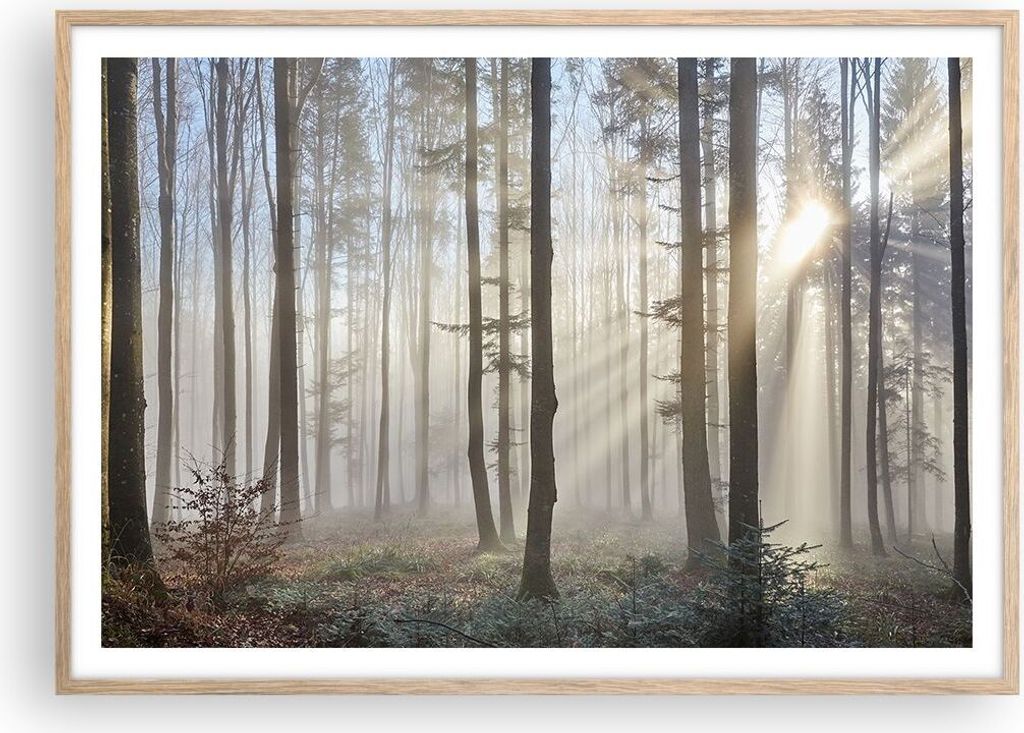 Gerahmtes Poster - Rahmen in heller Eiche - Wald Baum Natur - 100x70 cm - Wand Bild - Wanddeko - Wandbilder - Wandposter - Bilderrahmen - Bilder - ...