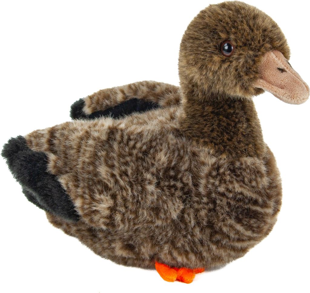 A plush toy duck is shown against a white background.