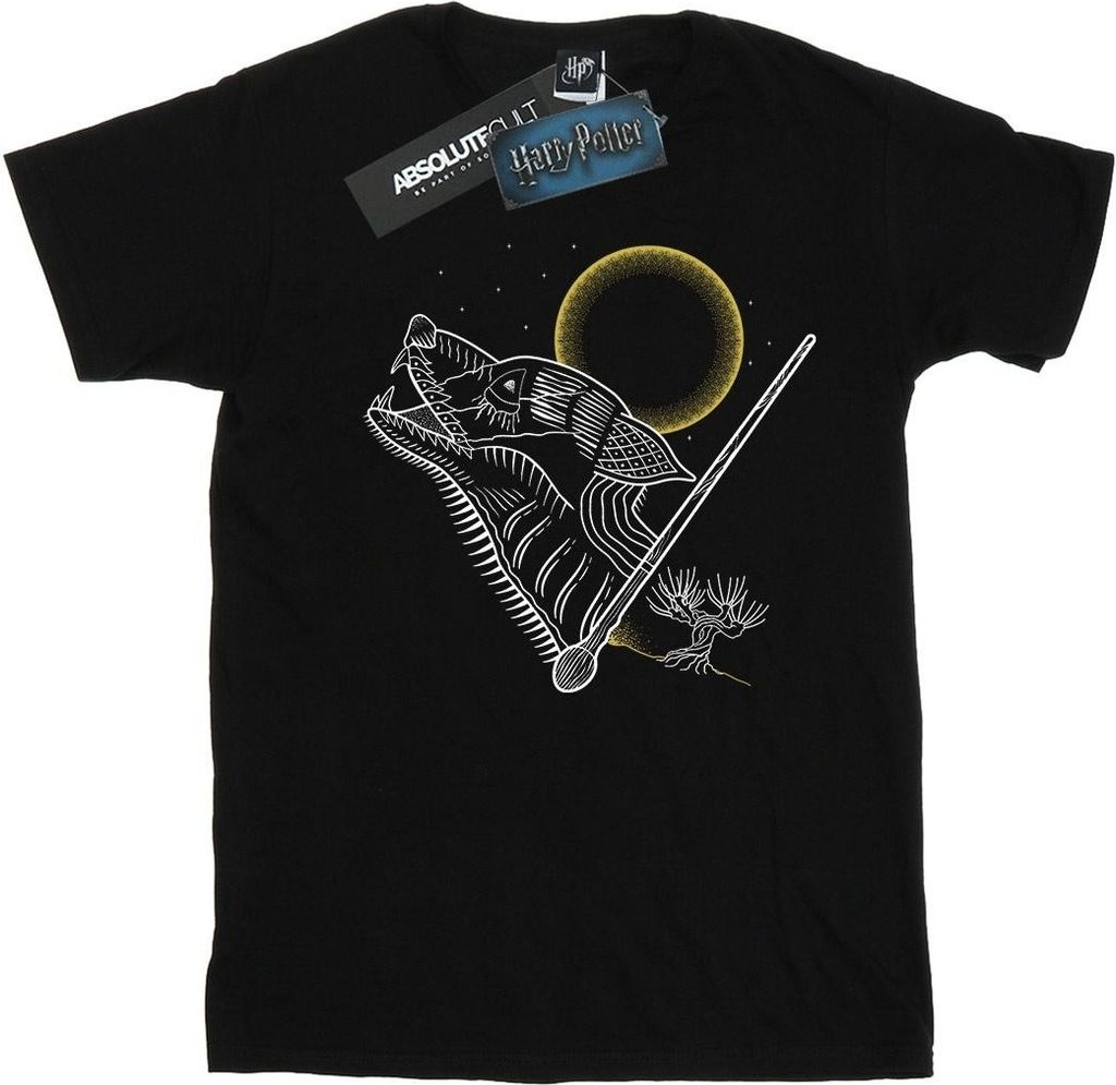 Harry Potter - T-Shirt für Herren BI29818 (XXL) (Schwarz)