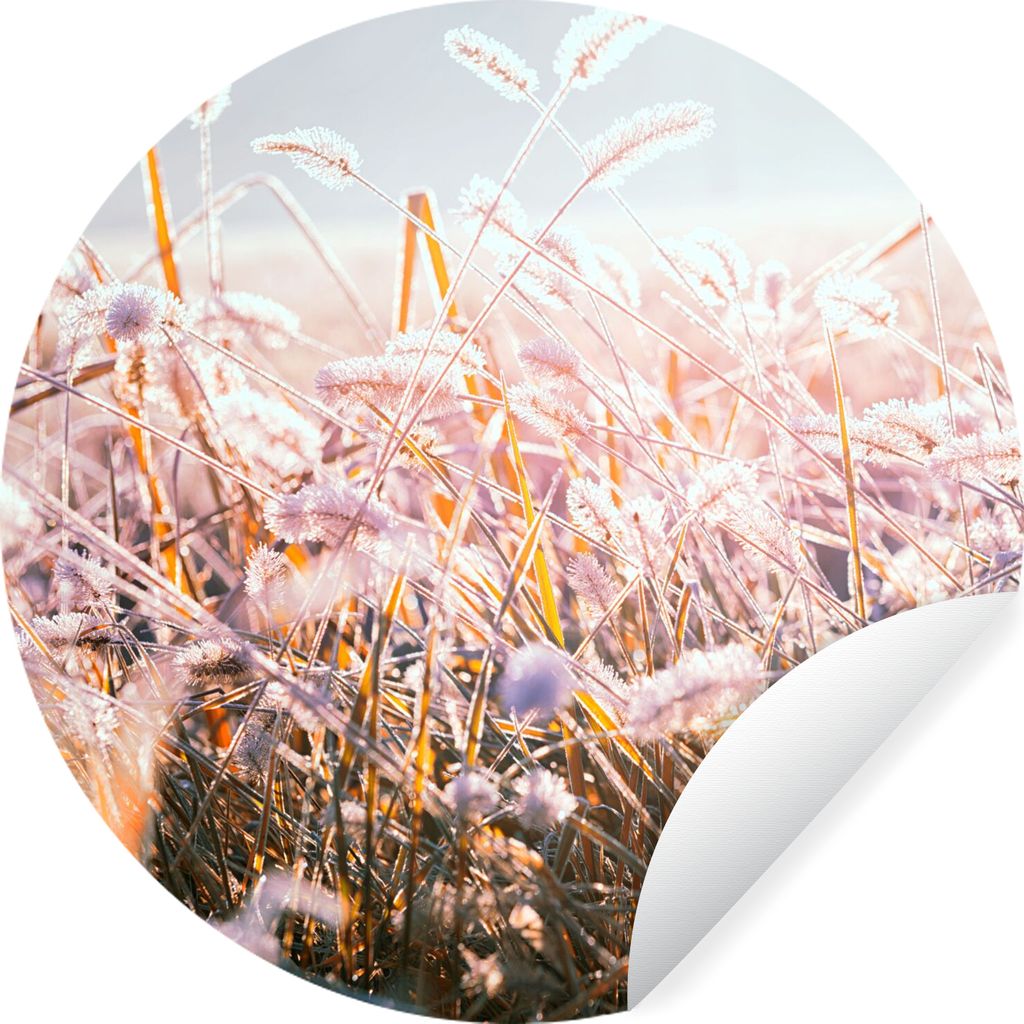 MuchoWow Runde Wandtattoo - Wandsticker Tapete Aufkleber Gras - Sonne - Winter - Schnee Ø 50 cm Selbstklebend und Repositionierbar - Wandaufkleb...