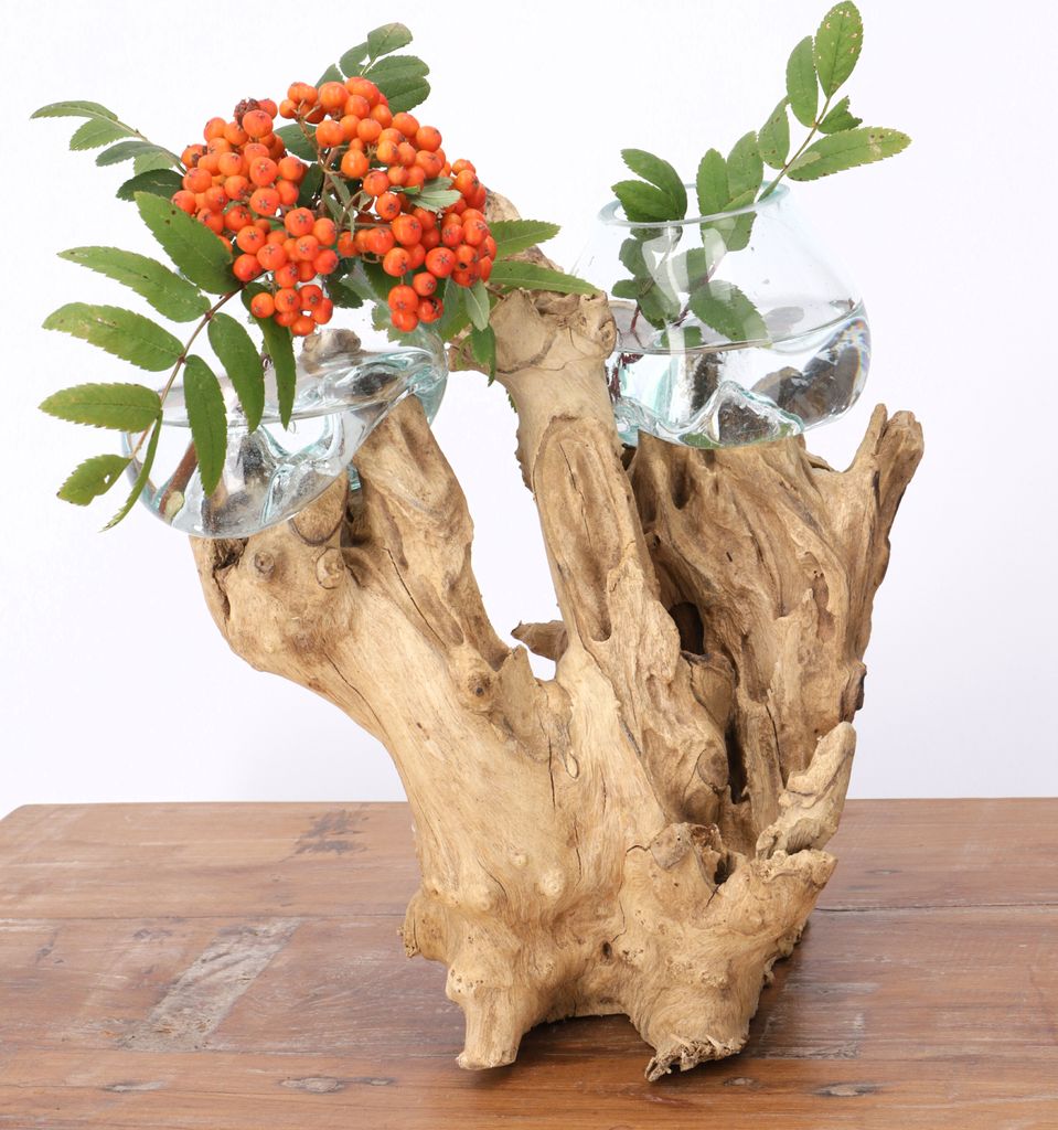 Exotische Wurzelholz Vase mit 2 Gläsern - 2 * Ø Glas bis 10 cm, Braun, Holz,Glas,Wurzelholz, Vasen & Blumentöpfe