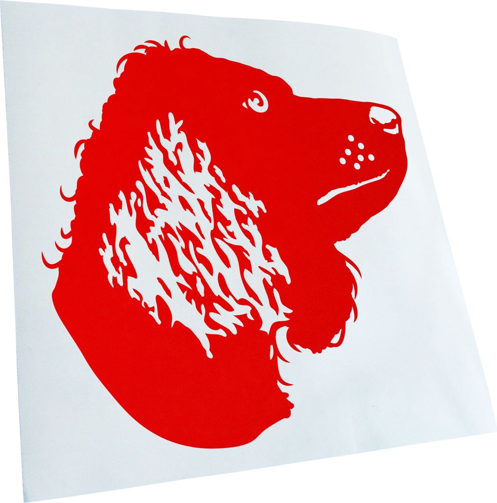 Kiwistar - Autoaufkleber - American Water Spaniel - Rot - 50x50cm - Aufkleber für Auto, Laptop, Fahrrad, LKW, Motorrad Mehrfarbig JDM Decal Racing
