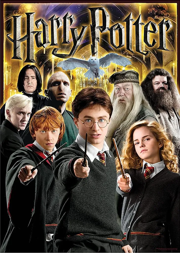 Puzzle Harry Potter 1000 pièces sans reflets - Assemblage Précis et Facile - 3