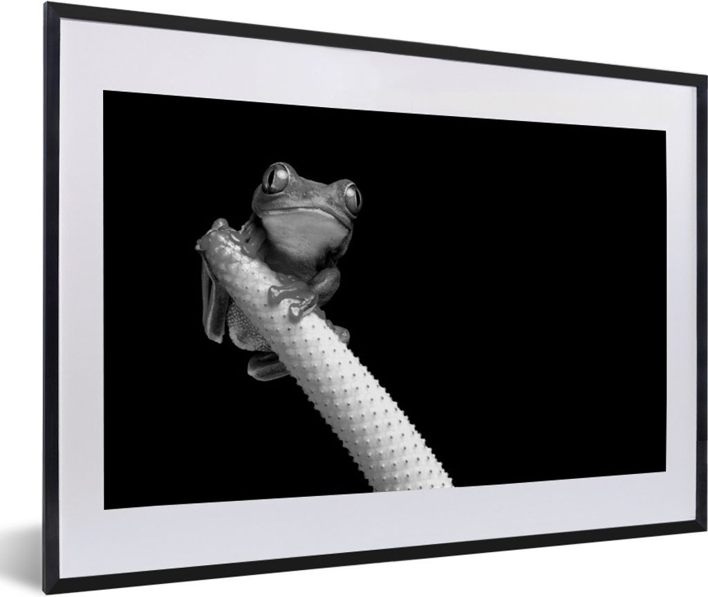 MuchoWow® Gerahmtes Poster Kleiner Laubfrosch vor schwarzem Produktbild 